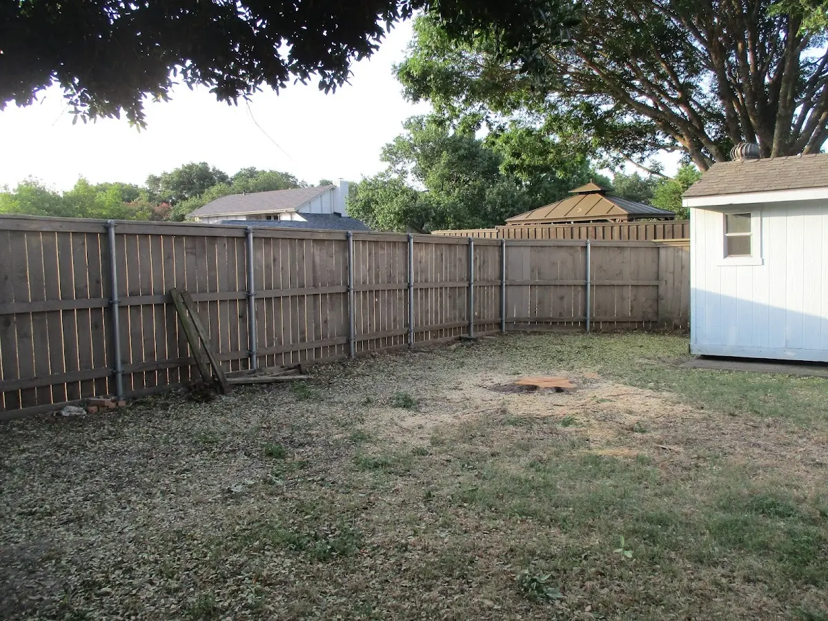 Cleared yard after professional tree removal in Brantley